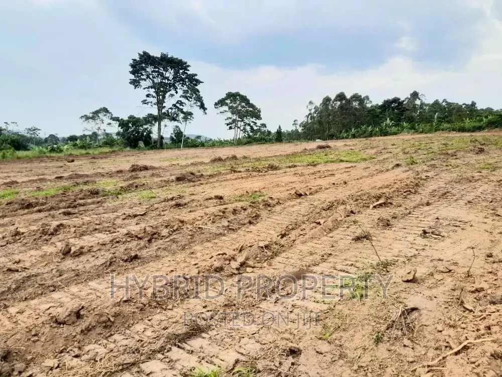 Plots for Sale at Katende~Kiringente Land Estate~Masaka Road