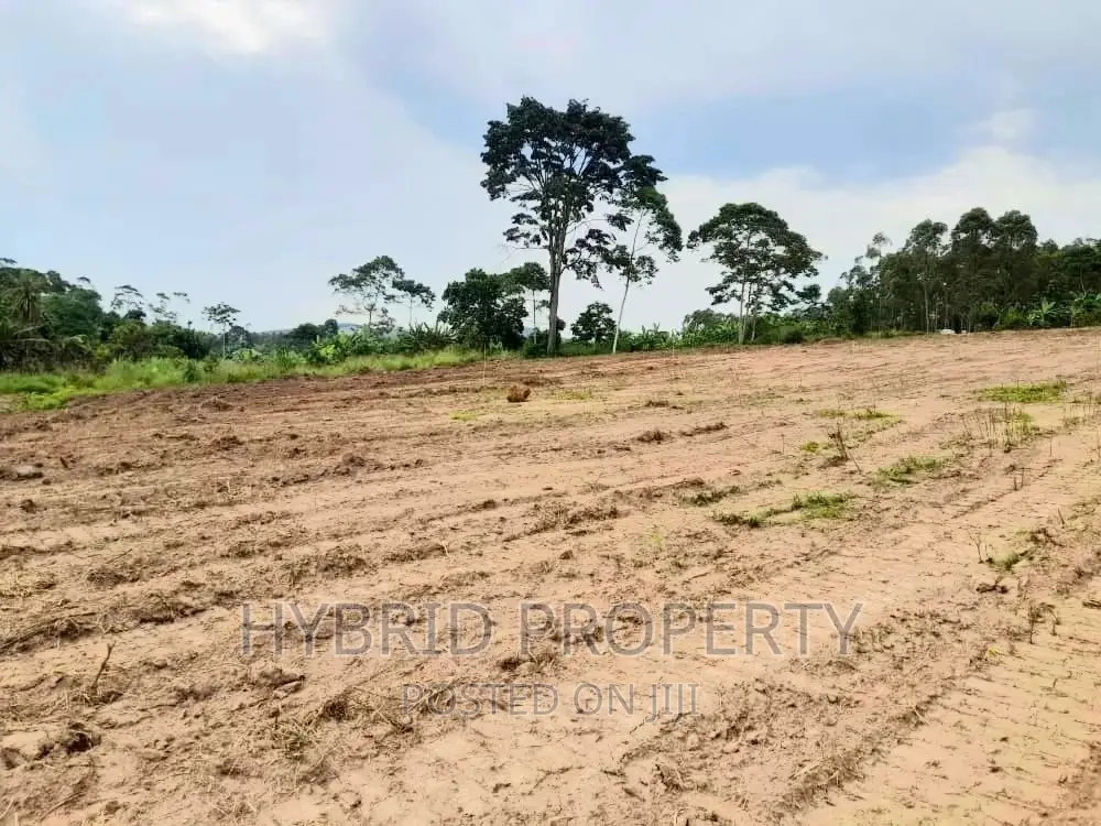 Plots for Sale at Katende~Kiringente Land Estate~Masaka Road