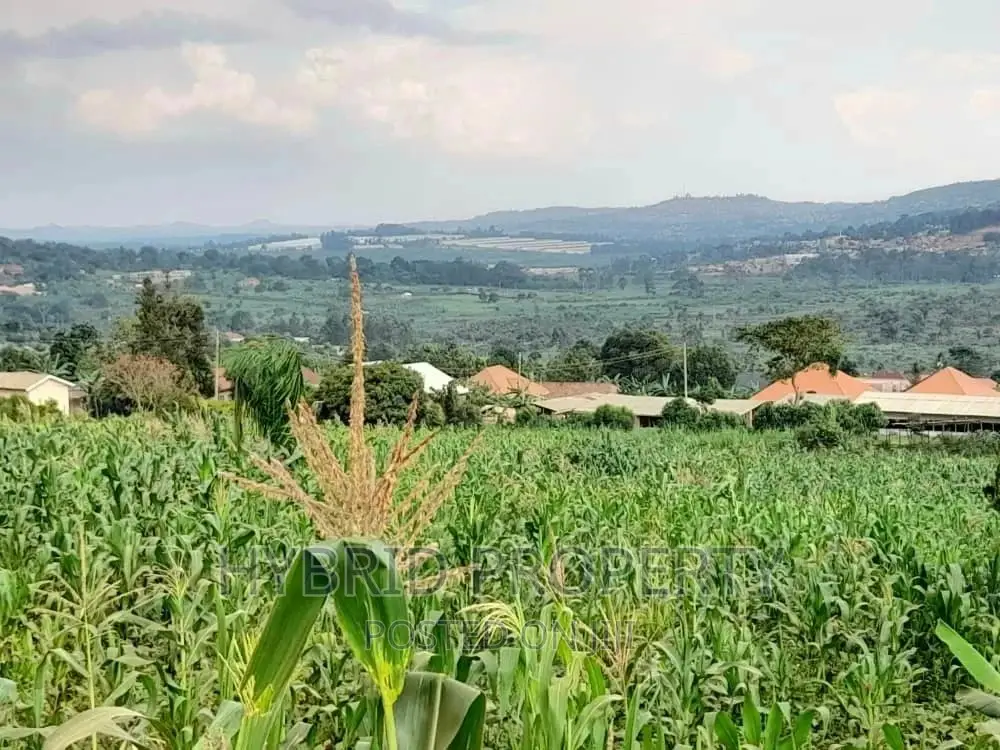 Plots for Sale at Katende~Kiringente Land Estate~Masaka Road