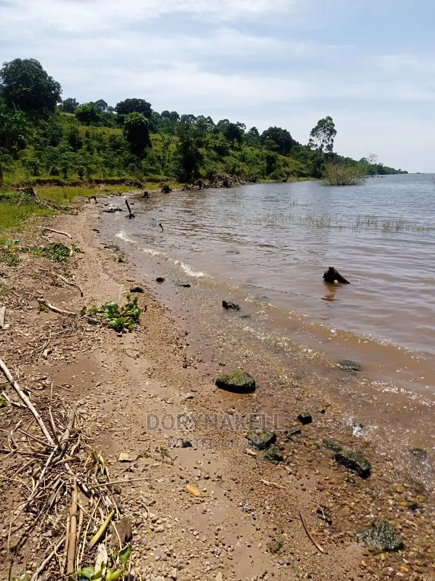 60 Lakefront Acres in Buikwe,At 35m Each