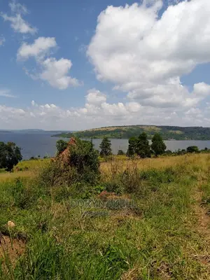 60 Lakefront Acres in Buikwe,At 35m Each