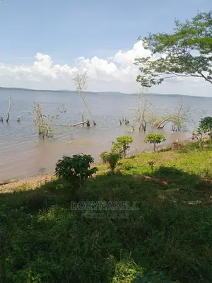 60 Lakefront Acres in Buikwe,At 35m Each