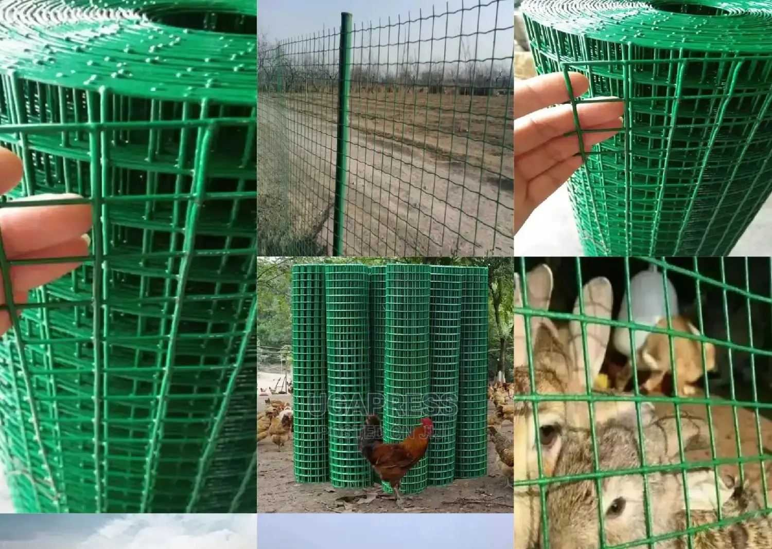 Chicken and Rabbit Mesh