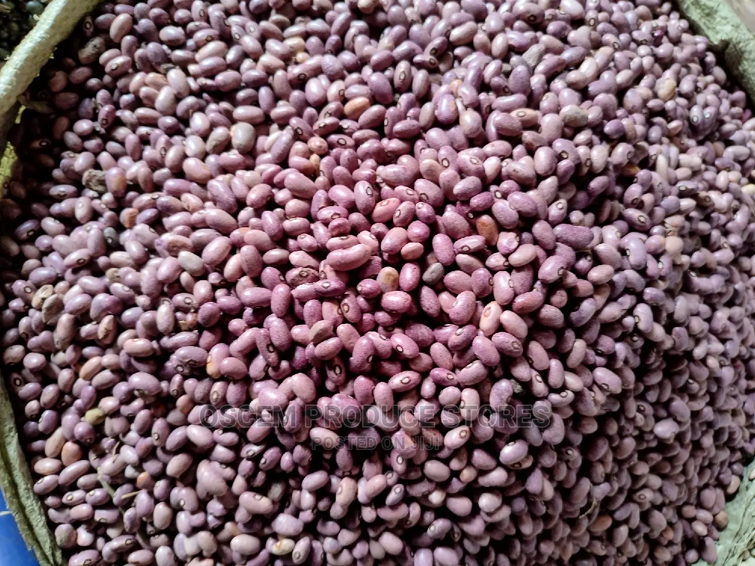 Fresh Beans