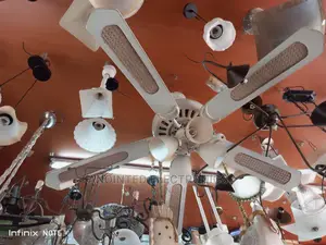 Ceiling Fan With a Light