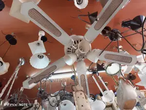 Ceiling Fan With Light