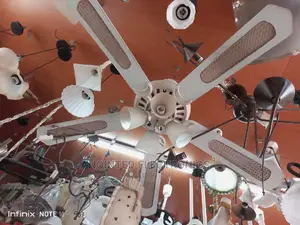 Ceiling Fan With Light