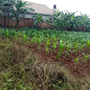 30decimals of Land for Sale in Kyanja Kungu