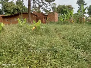 1acre for Sale in Kitala Komamboga