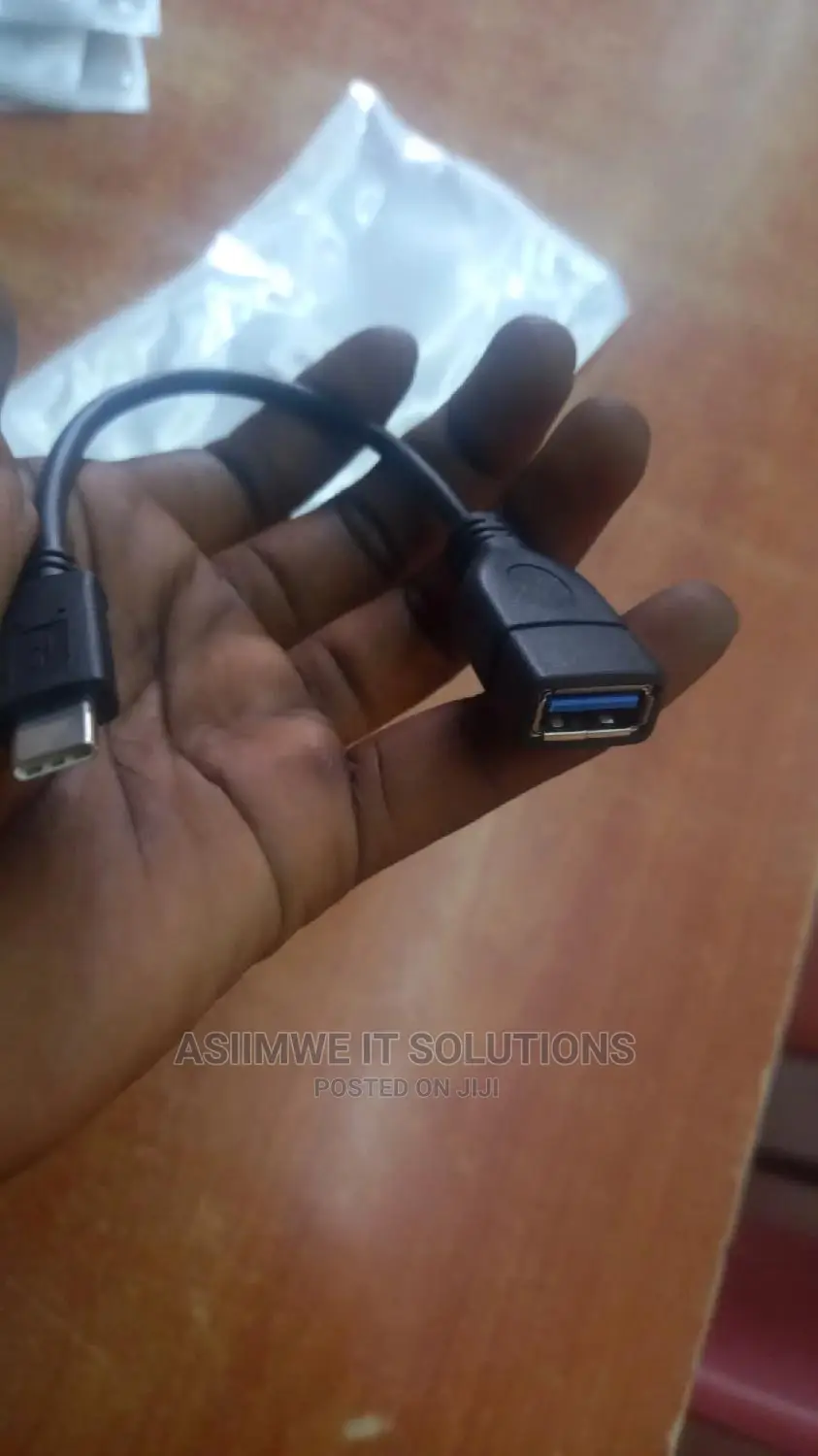 Type C to Female Usb Converter