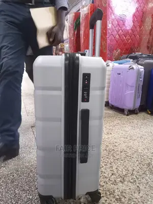 Plastic Suitcases (Gray)
