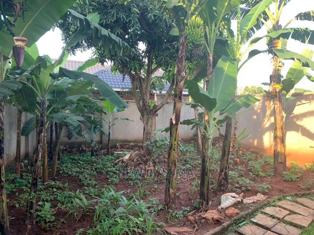 3bdrm House in Nsanji Manja, Division a for Sale