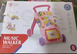 New Baby Musical Walker