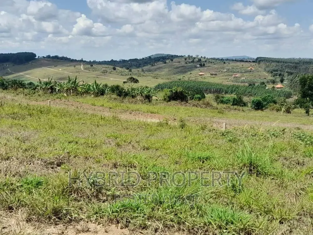 Plots for Sale at Simbamanyo~Kakiri II Land Estate~Hoima Rd