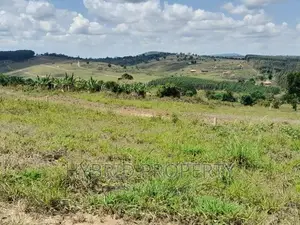 Plots for Sale at Simbamanyo~Kakiri II Land Estate~Hoima Rd