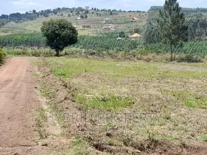 Plots for Sale at Simbamanyo~Kakiri II Land Estate~Hoima Rd