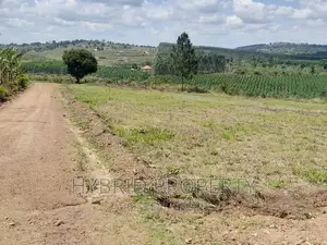 Plots for Sale at Simbamanyo~Kakiri II Land Estate~Hoima Rd