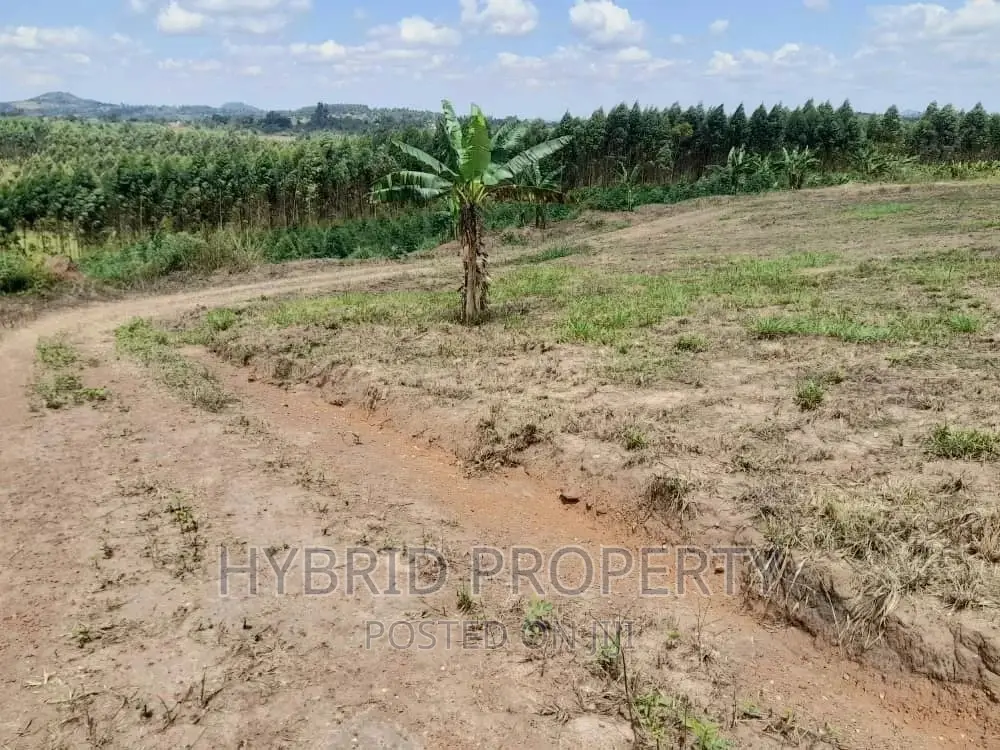 Plots for Sale at Simbamanyo~Kakiri II Land Estate~Hoima Rd