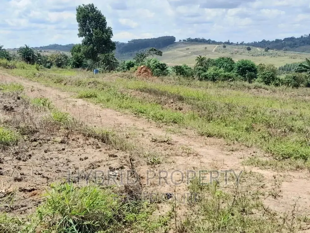 Plots for Sale at Simbamanyo~Kakiri II Land Estate~Hoima Rd