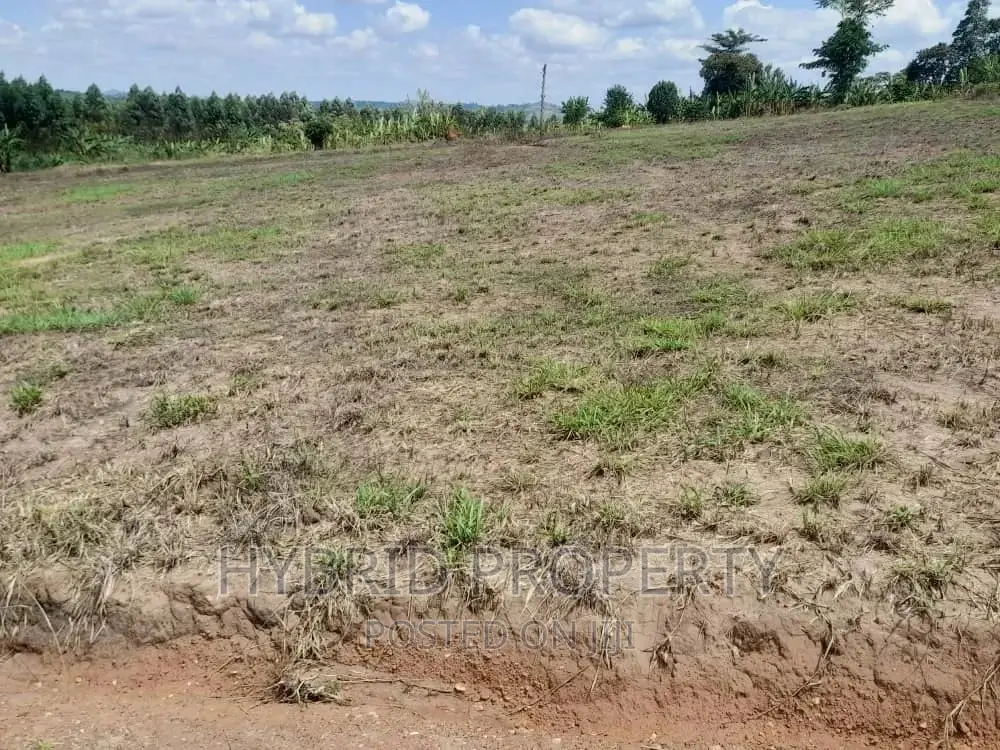 Plots for Sale at Simbamanyo~Kakiri II Land Estate~Hoima Rd