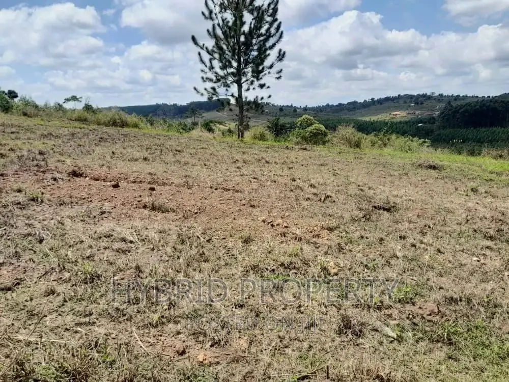 Plots for Sale at Simbamanyo~Kakiri II Land Estate~Hoima Rd