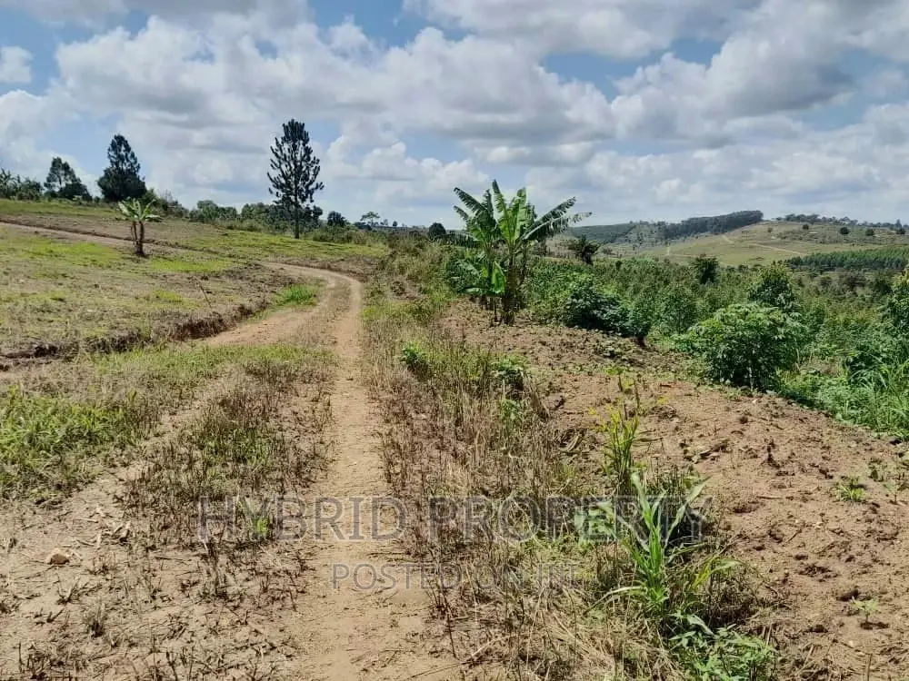 Plots for Sale at Simbamanyo~Kakiri II Land Estate~Hoima Rd