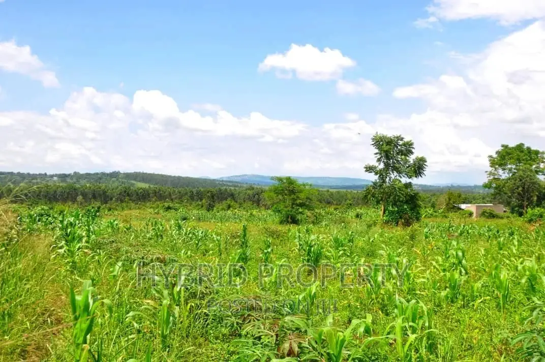 35+ Acres of Land for Sale at Namayumba Estate~Hoima Road.