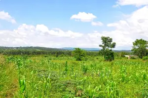 35+ Acres of Land for Sale at Namayumba Estate~Hoima Road.