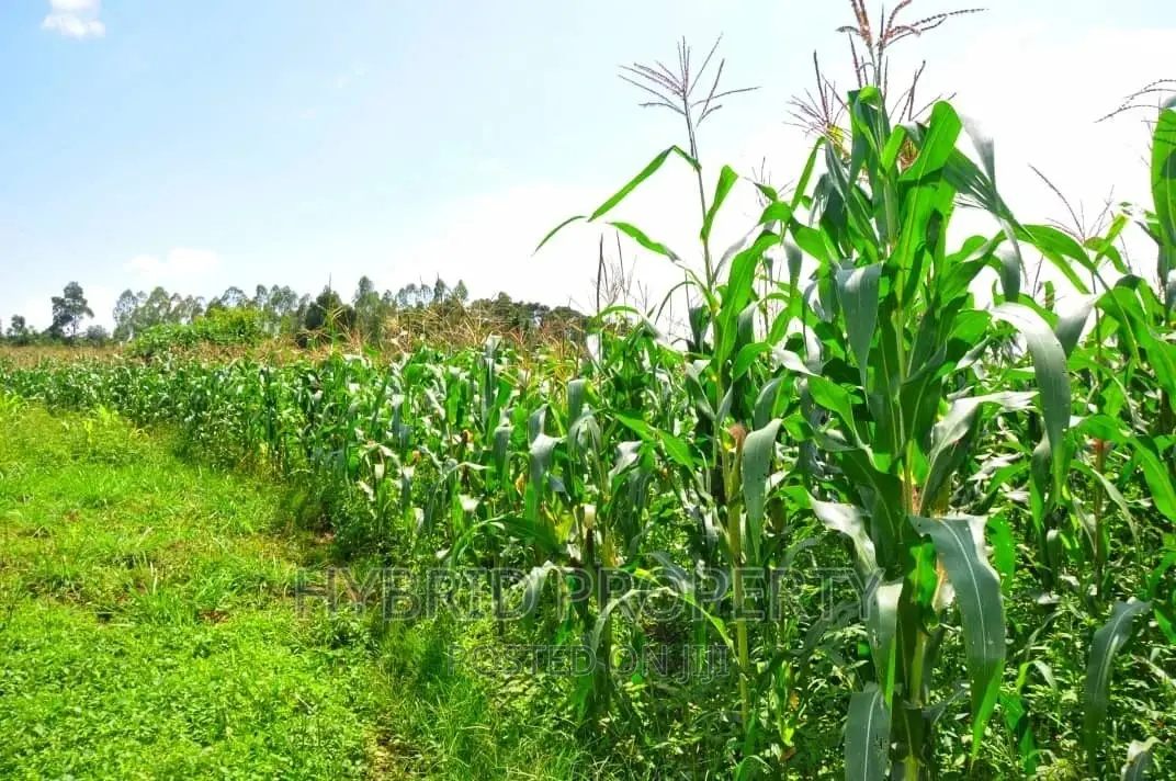 35+ Acres of Land for Sale at Namayumba Estate~Hoima Road.