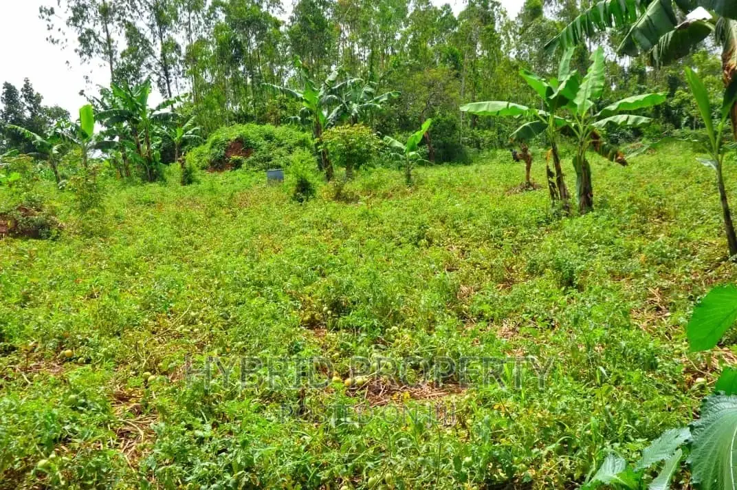 35+ Acres of Land for Sale at Namayumba Estate~Hoima Road.