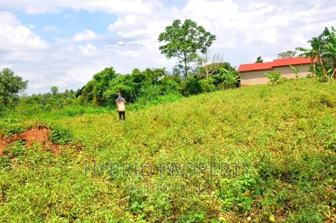 35+ Acres of Land for Sale at Namayumba Estate~Hoima Road.