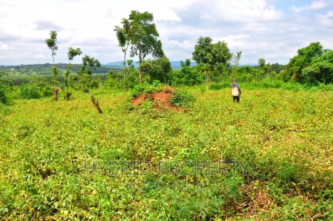35+ Acres of Land for Sale at Namayumba Estate~Hoima Road.