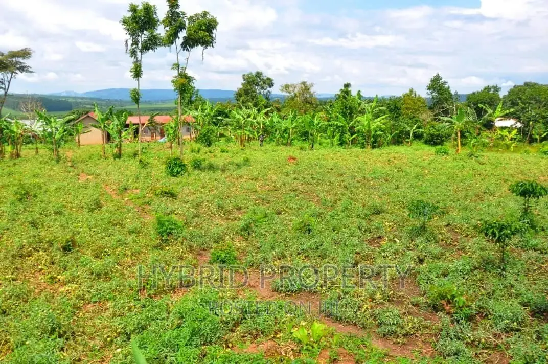 35+ Acres of Land for Sale at Namayumba Estate~Hoima Road.