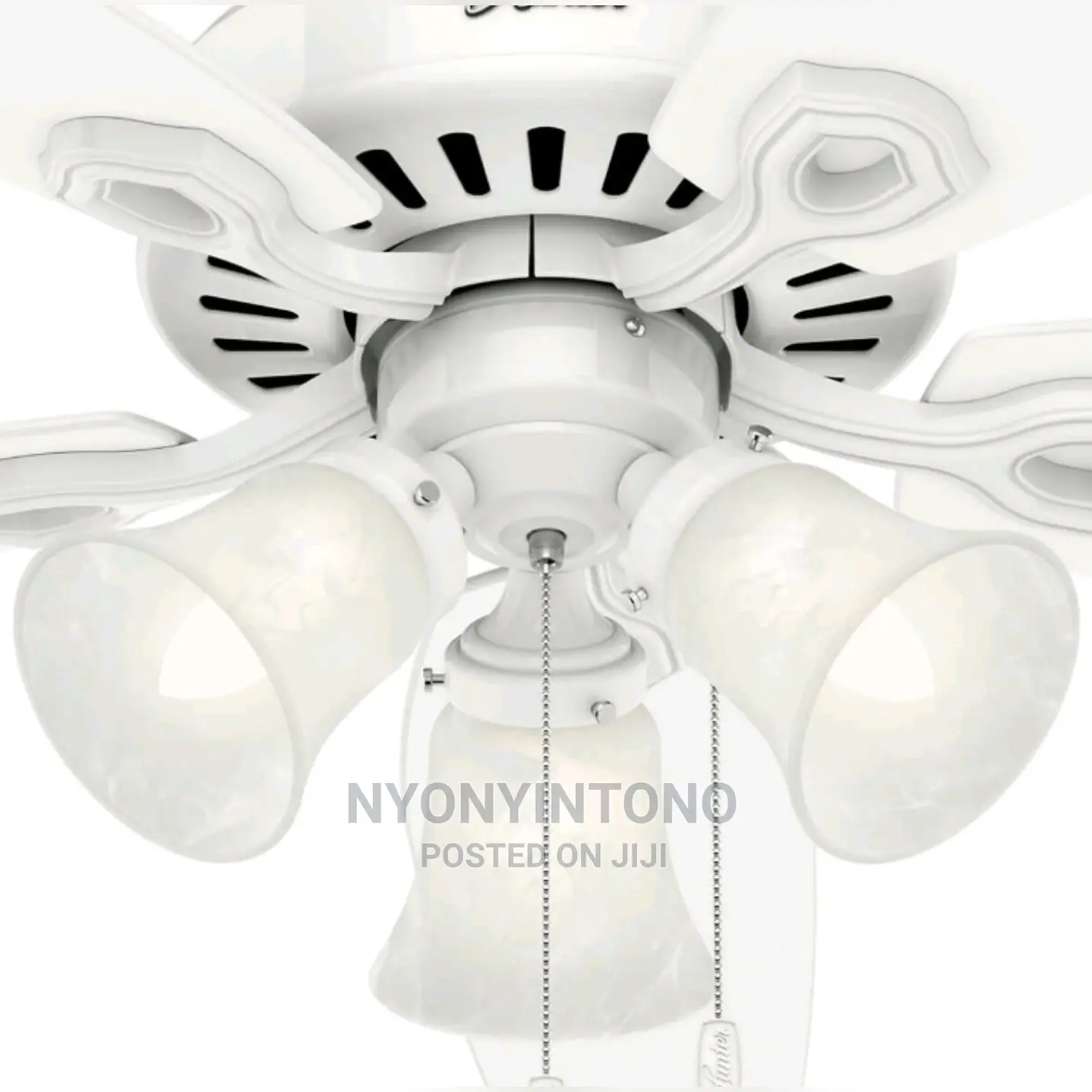 Ceiling Fan With Lights VIP