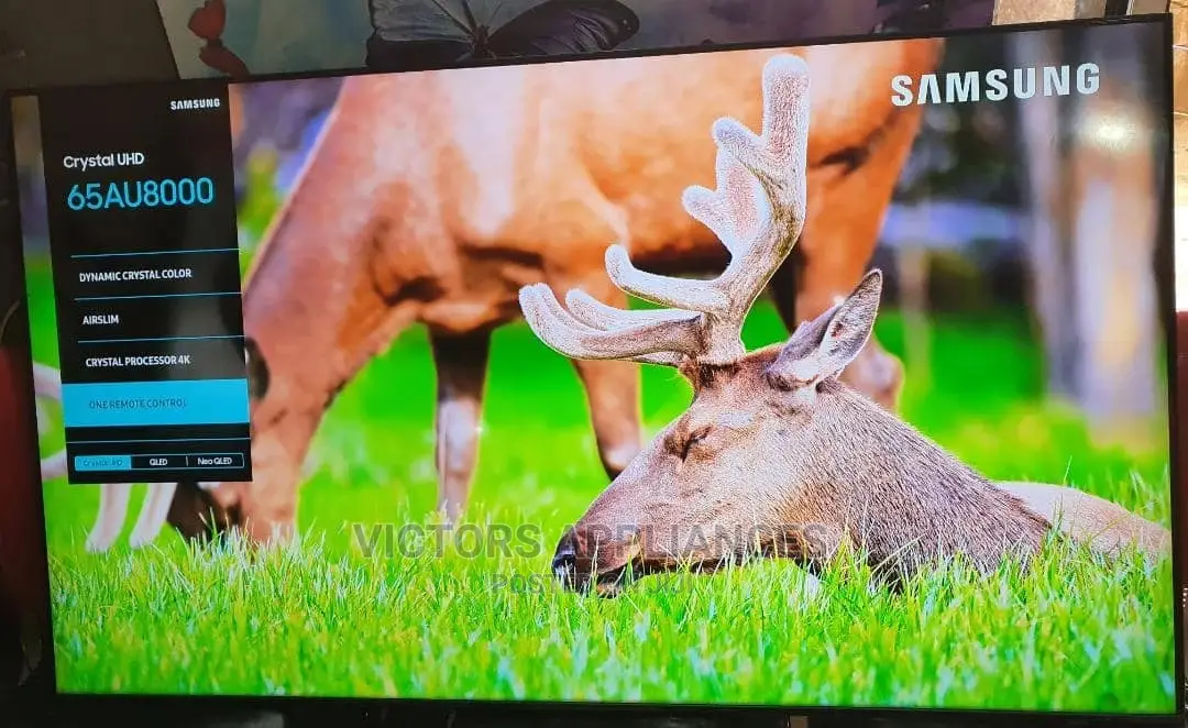 Samsung 65 Inch Uhd Smart Flat Screen Tv