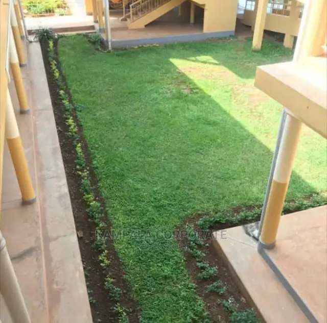 Natural Grass for Compound Free Planting