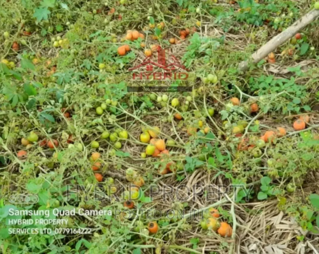 35acres of Land for Sale at Namayumba Kaloke~Hoima Road.