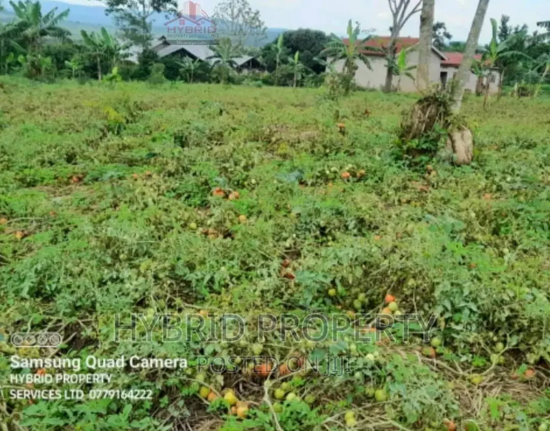 35acres of Land for Sale at Namayumba Kaloke~Hoima Road.