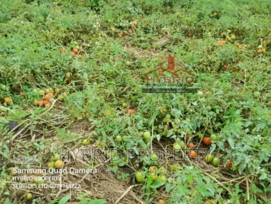 35acres of Land for Sale at Namayumba Kaloke~Hoima Road.