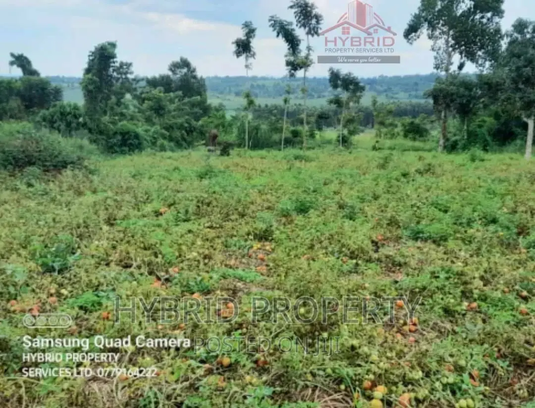 35acres of Land for Sale at Namayumba Kaloke~Hoima Road.
