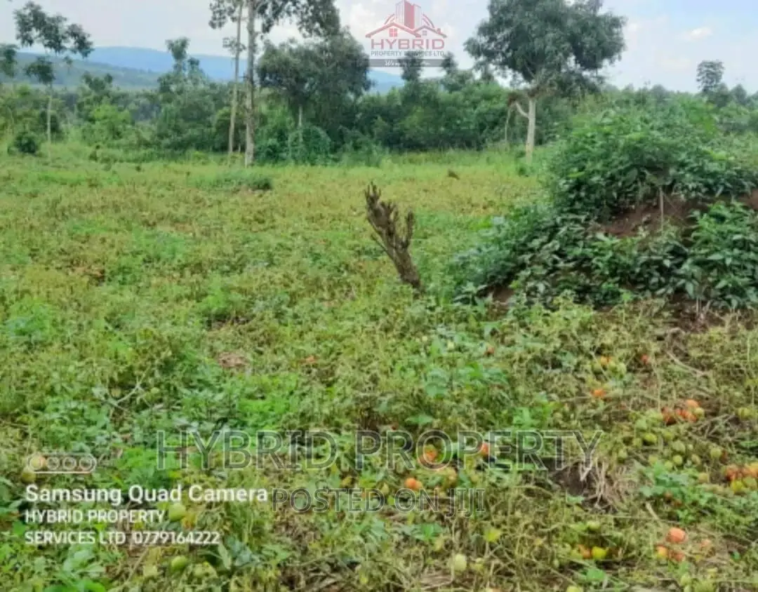 35acres of Land for Sale at Namayumba Kaloke~Hoima Road.