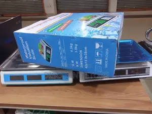 Quality Stainless Steel Tabletop Weighing Scale