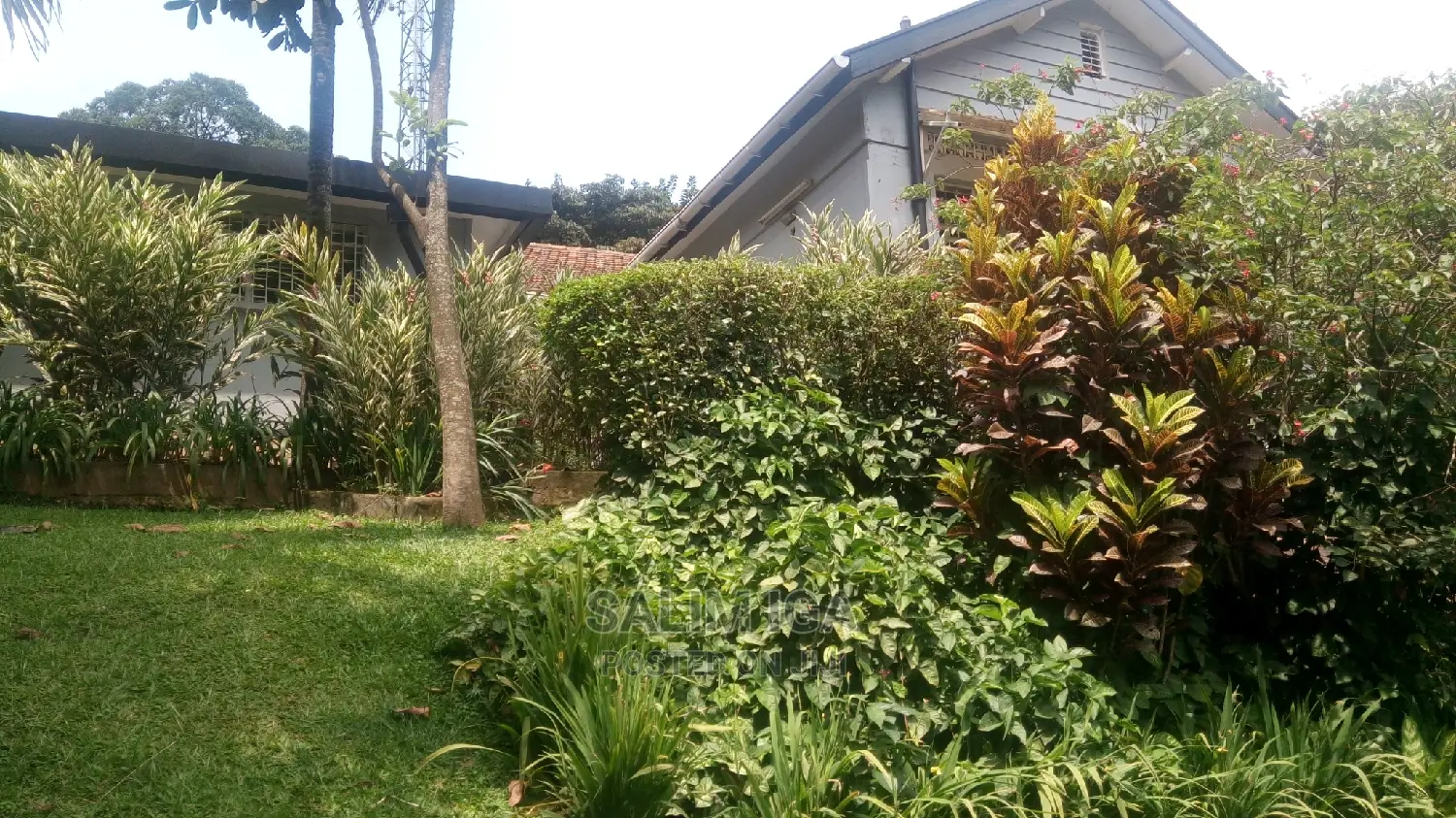4bdrm Bungalow in Kololo Property, Central Division for Rent