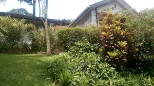 4bdrm Bungalow in Kololo Property, Central Division for Rent