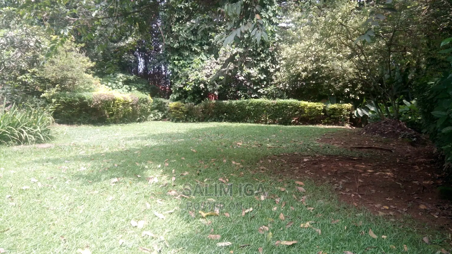 4bdrm Bungalow in Kololo Property, Central Division for Rent
