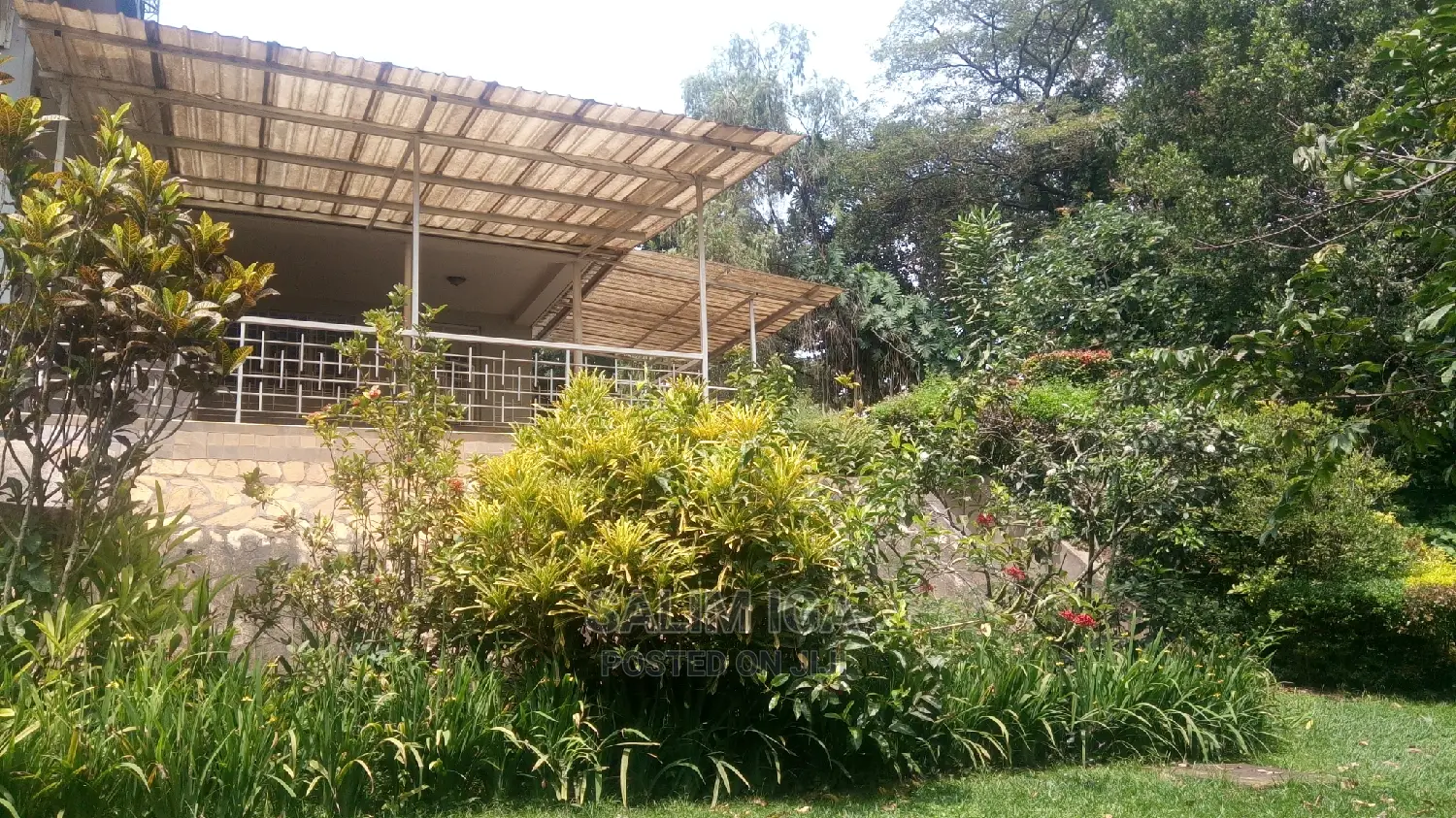 4bdrm Bungalow in Kololo Property, Central Division for Rent