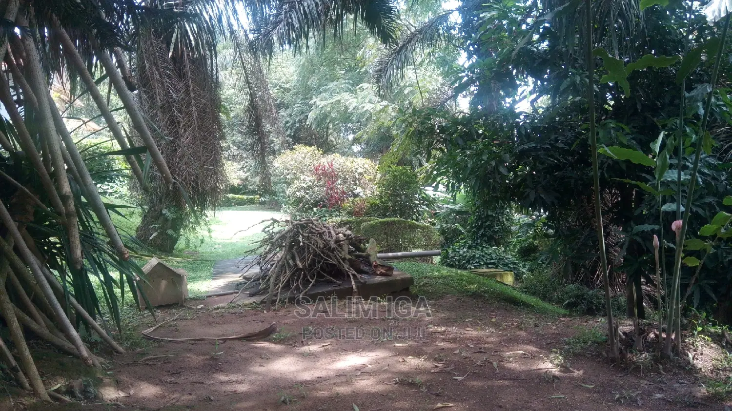 4bdrm Bungalow in Kololo Property, Central Division for Rent
