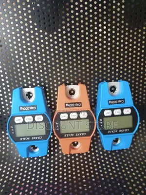 Electronic Hanging High Precision Digital Weighing Scale