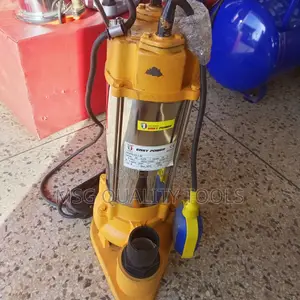 Sewerage Or Dirty Water Pump