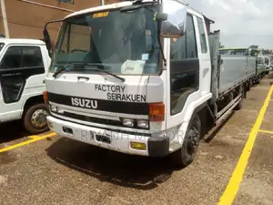 Isuzu Truck Ordinary